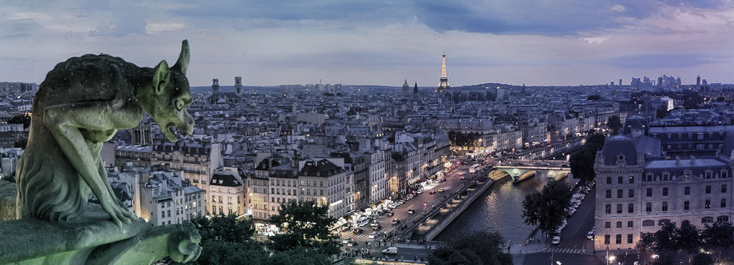 Der Eiffelturm fotografiert vom Dach von Notre Dame